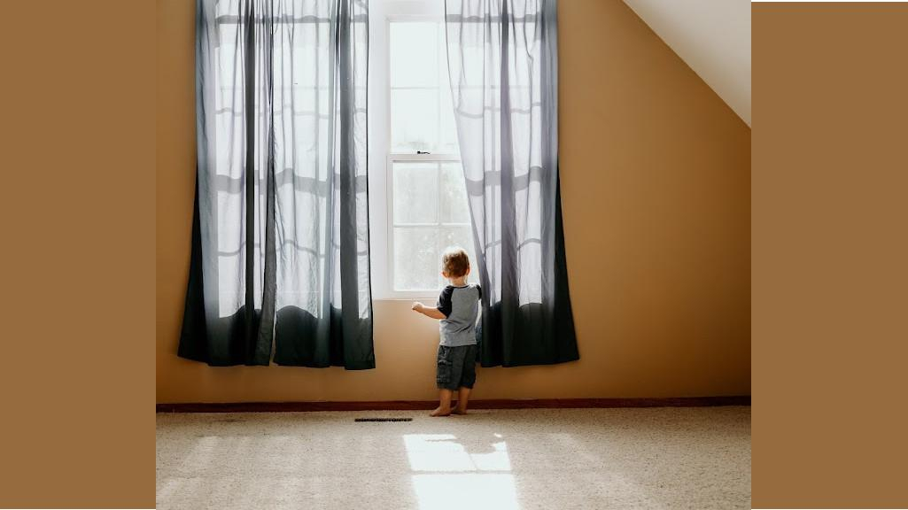 Cover photo of Clean and Dry Carpet Cleaning